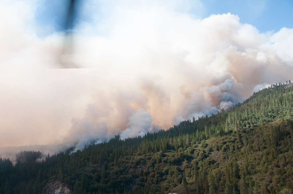 Rookpluimen boven een beboste berghelling tijdens een bosbrand